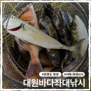 낚시슈퍼 | 안면도 서해 좌대낚시, 초보도 무조건 성공하는 대원바다좌대낚시 솔직 후기