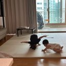 돔수산초밥