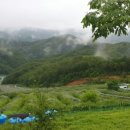 친환경우리농장 이미지