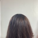 금동살롱 이미지