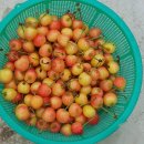 갑산1리 이미지