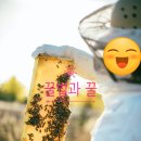 네츄럴100허니카페 이미지