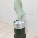 광명화원 이미지