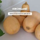 고수농장 | 땅콩호박 권가네농장 버터넛스쿼시 달콤한 천연간식