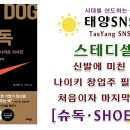 스테디독 이미지