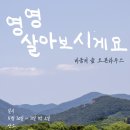포레스트 이미지