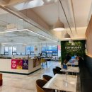 행복드림피자 경산점 | [경산] 신메뉴와 9,900원의 행복! 하양역 맛집 방문 후기