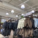 밀라노헤어클럽 | 부산 트레이더스 서면점 11월 겨울 크리스마스 신상 전단 할인
