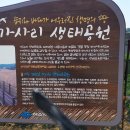 남파랑길 59코스(2025.6.28) 이미지