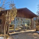 아4리 | 강원도 북스테이 추천 | 춘천 감성숙소 썸원스페이지 숲