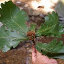 대청댐물문화관 이미지