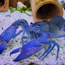 동천카정비 이미지