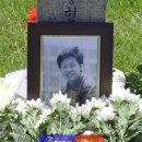 신인식 이미지