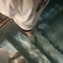 영희네케이크 | 영희네집2 호캉스 후기: 두 번째