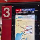 짱캐릭터 | 나고야 주부공항 맛집 야마짱 테바사키 닭날개튀김 원조 면세점 후기