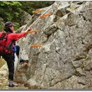 선기로2-3 이미지