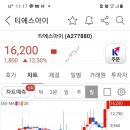 티에스아이 주가 이미지