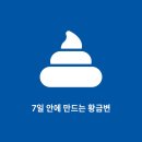 퍼펙트바이트 | 힐스 강아지사료, 7세 이상 노견 소화 건강에 딱! 솔직 후기