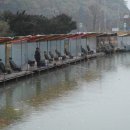 피쉬랜드낚시터 이미지