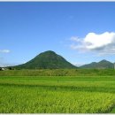 대물낚시 이미지