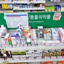 대화건강약국 이미지