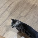 탑포스학원 | 관상역학원]디즈니+ 운명전쟁 49 이도규 선생님 영접! 종로 사주+관상 솔직후기 (결혼운, 투자운, 직장운)
