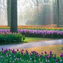 늘봄화원 이미지