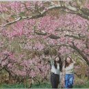 (주)신정푸드