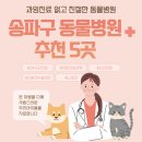 페토피아 동물병원 | 송파구 동물병원 추천 5곳 - 휴일 밤 진료 동물병원
