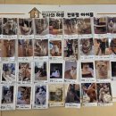 집사의 하루 전포점 네이버블로그