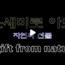 온새미로 아토 이미지