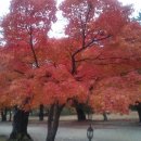 삼구회 이미지
