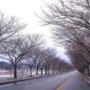 양양펜션 올해 첫눈 해뜨는바다펜션에서 맞이했어요