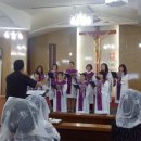 곡성당 Daum카페