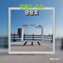 속초사잇길 제1길 이미지