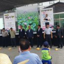 대야리(대실) 이미지