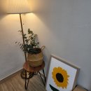 1947익산펜션2 이미지