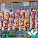 서림바이오 이미지