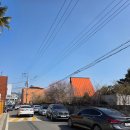 주정차26 | [내돈내먹] 순천 홍매화 명소 - 사운즈 옥천 : 쏘쏘 (26년 2월 21일 방문)