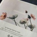 [그랑핸드 멀티 퍼퓸] 마린 오키드 / 규장 향 후기