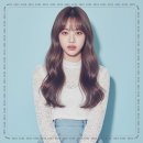 중앙 애견 미용실 | 히피펌 산곡동미용실 로이드밤산곡중앙점 실패 없이 스타일 바꾼 후기