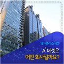 위너스에셋