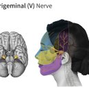 경서한의원 이미지