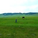 푸른초원 이미지