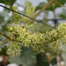 박사골농장 이미지