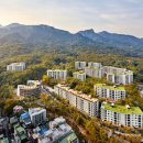 파인트리리조트 이미지