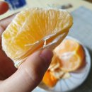 여니파파농장 네이버블로그