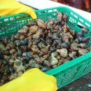 스토어소라 이미지