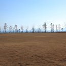 금호 조각공원 이미지