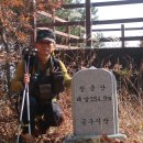 세종특별자치시의 장군봉, 장군산 산행 이미지